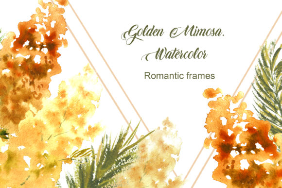 Golden Mimosa Illustrations