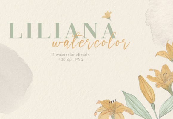 Liliana Watercolor and Patterns